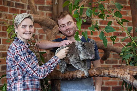 Private Tour: Blue Mountains Day Trip From Sydney - Accommodation Mount Tamborine 0