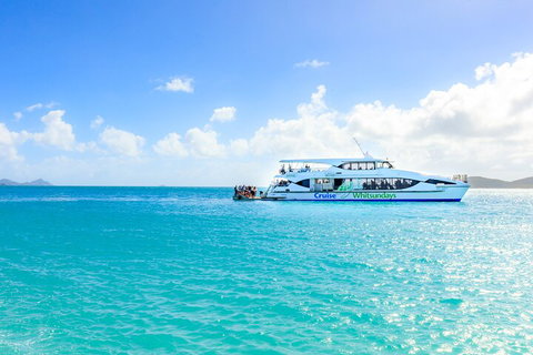 Whitehaven Beach And Daydream Island Cruise - Accommodation Mount Tamborine 2