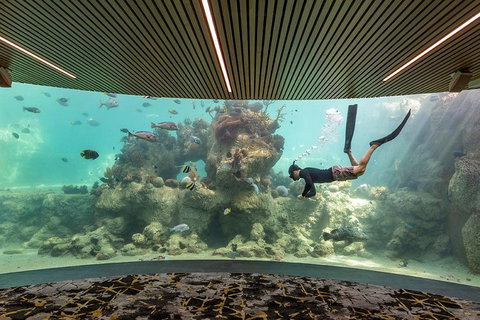 Whitehaven Beach And Daydream Island Cruise - Accommodation Mount Tamborine 4