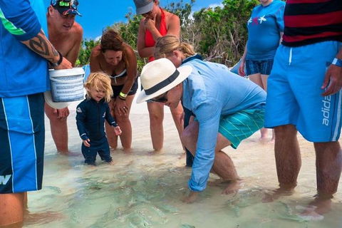 Whitehaven Beach And Hamilton Island Cruise - Accommodation Mount Tamborine 1