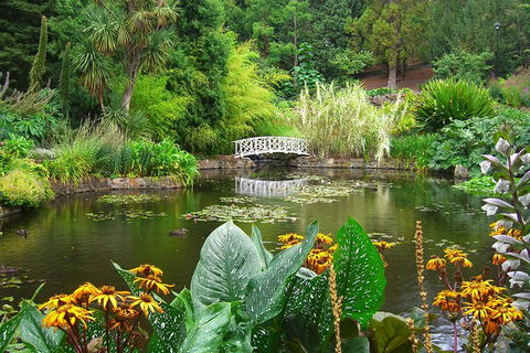 Hobart City Sightseeing Tour Including MONA Admission - Accommodation Mount Tamborine 3