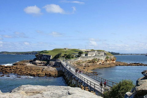 Sydney Six Beaches Trike Tour - Accommodation Mount Tamborine 0