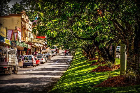 Fully Inclusive Blue Mountains Private Tour Inc Scenic World & Featherdale Entry - Accommodation Mount Tamborine 0