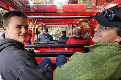 Fully Inclusive Blue Mountains Private Tour Inc Scenic World & Featherdale Entry - Accommodation Mount Tamborine 1