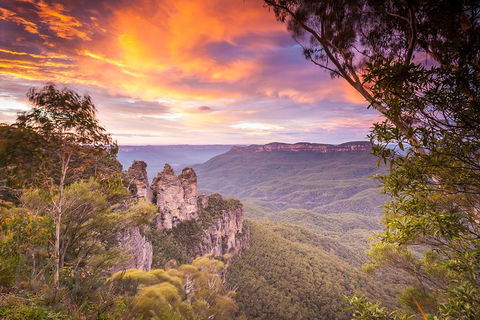 Fully Inclusive Blue Mountains Private Tour Inc Scenic World & Featherdale Entry - Accommodation Mount Tamborine 5