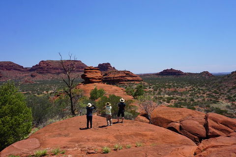 Palm Valley And Hermannsburg 1 Day 4WD Tour - Accommodation Mount Tamborine 2