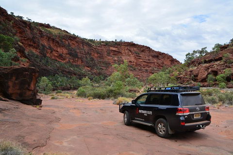 Palm Valley And Hermannsburg 1 Day 4WD Tour - Accommodation Mount Tamborine 5