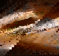 Windjana Explorer - Accommodation Mount Tamborine