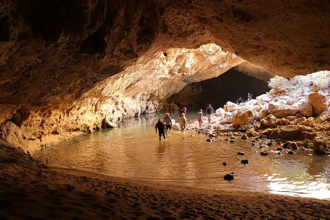 Windjana Explorer - Accommodation Mount Tamborine 0