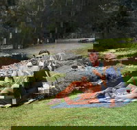 Mt Tamborine - Hinterland Wonders Self Guided - Accommodation Mount Tamborine