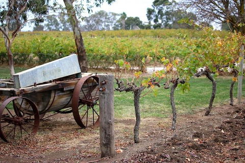 Maggie Beer Farm - Barossa Valley Regional Tour - Accommodation Mount Tamborine 1