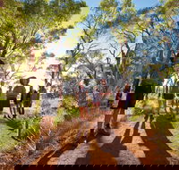 Uluru Small Group Tour including Sunset - Accommodation Mount Tamborine