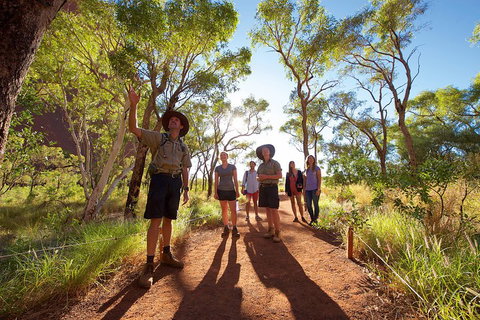 Uluru Small Group Tour Including Sunset - Accommodation Mount Tamborine 0