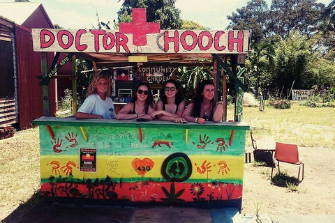 Byron Surrounds: Nimbin Waterfall Adventure - Swimming Tour - Accommodation Mount Tamborine 5