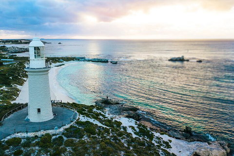 Discover Rottnest With Ferry & Bus Tour From Perth Or Fremantle - Accommodation Mount Tamborine 2