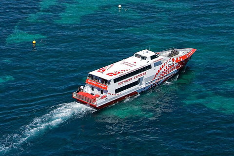 Discover Rottnest With Ferry & Bus Tour From Perth Or Fremantle - Accommodation Mount Tamborine 3