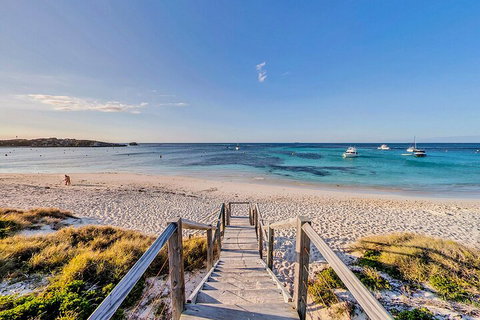 Discover Rottnest With Ferry & Bus Tour From Perth Or Fremantle - Accommodation Mount Tamborine 4