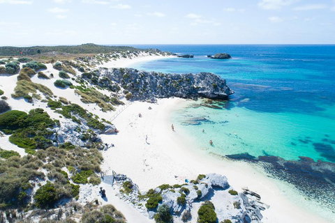 Discover Rottnest With Ferry & Bus Tour From Perth Or Fremantle - Accommodation Mount Tamborine 5