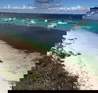 Experience Rottnest with Ferry  Bike Hire from Perth or Fremantle - Accommodation Mount Tamborine