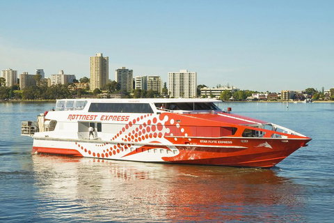 Rottnest Island Round-Trip Ferry From Perth Or Fremantle - Accommodation Mount Tamborine 5
