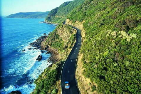 Melbourne Super Saver: Great Ocean Road + Mornington Peninsula + Attraction Pass - Accommodation Mount Tamborine 0