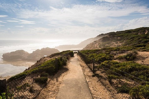 Melbourne Super Saver: Great Ocean Road + Mornington Peninsula + Attraction Pass - Accommodation Mount Tamborine 4