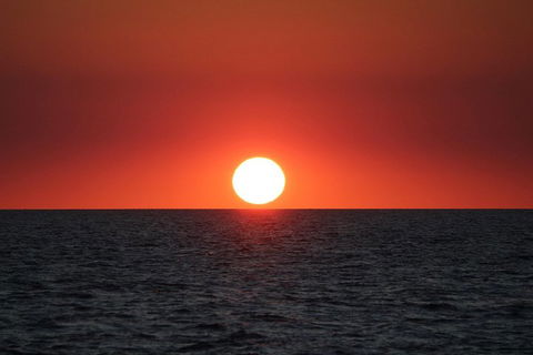 Roebuck Bay Snubfin Dolphin Cruise - Accommodation Mount Tamborine 3