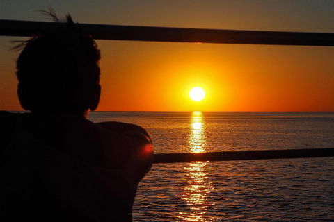Roebuck Bay Snubfin Dolphin Cruise - Accommodation Mount Tamborine 4