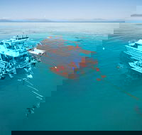 Ocean Freedom Great Barrier Reef Personal Luxury Snorkel  Dive Cruise Cairns - Accommodation Mount Tamborine