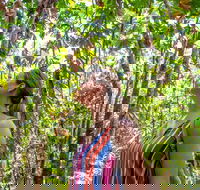5 Day Australia Retreat Queensland Daintree - Accommodation Mount Tamborine