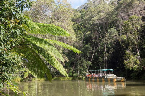 Best Of Kuranda Including Skyrail, Kuranda Scenic Railway And Rainforestation - Accommodation Mount Tamborine 5