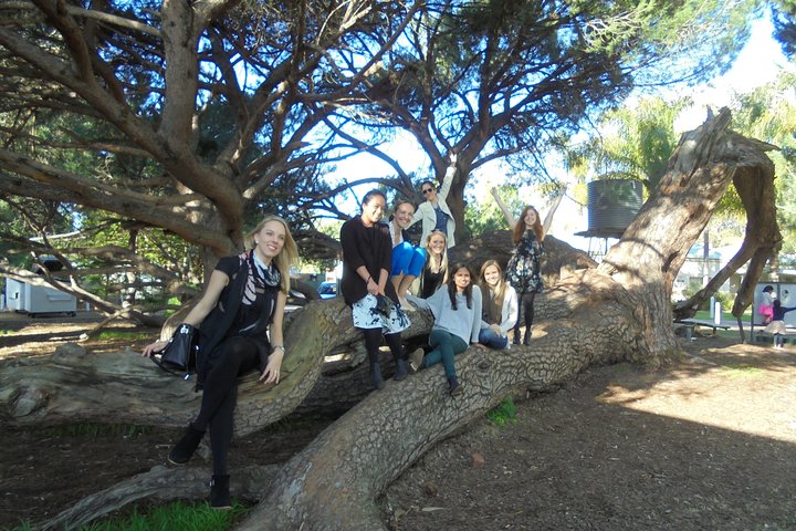 Accommodation Mount Tamborine