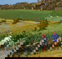 10 Day Perth to Adelaide Private Tour - The Great Australian Wilderness Journey - Accommodation Mount Tamborine