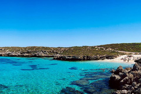Rottnest Island Roundtrip Fast Ferry From Hillarys Boat Harbour - Accommodation Mount Tamborine 4