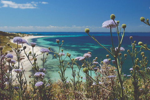 Rottnest Island Full-Day Trip With Guided Island Tour From Perth - Accommodation Mount Tamborine 2