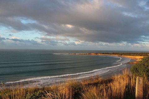 Private Great Ocean Road Day Tour With Early Departure & Early Return (11 Hours) - Accommodation Mount Tamborine 0