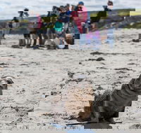 Kangaroo Island in a Day Tour from Adelaide