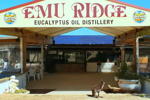 2 Day Ultimate Kangaroo Island With Return Ferry - Accommodation Mount Tamborine 3