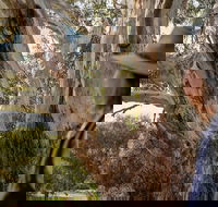 NEW TOUR - Kangaroo Island Road to Recovery Tour 1 Day/1 Night