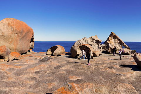 Full-Day Kangaroo Island Experience Departing From Kangaroo Island - Accommodation Mount Tamborine 4