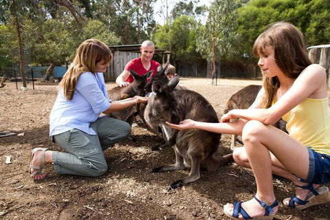 Full-Day Kangaroo Island Experience Departing From Kangaroo Island - Accommodation Mount Tamborine 5