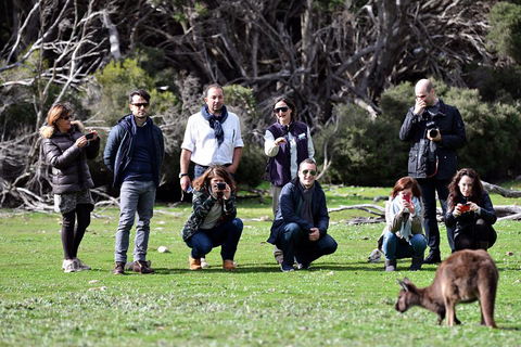 Small-Group Kangaroo Island 4WD Tour From Adelaide - Accommodation Mount Tamborine 2