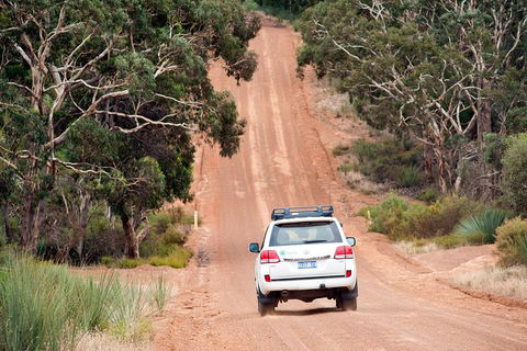 Small-Group Kangaroo Island 4WD Tour From Adelaide - Accommodation Mount Tamborine 3
