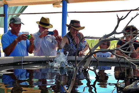 Cape Leveque 4WD Tour From Broome With Optional Return Flight - Accommodation Mount Tamborine 0