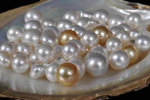 Cape Leveque 4WD Tour From Broome With Optional Return Flight - Accommodation Mount Tamborine 5