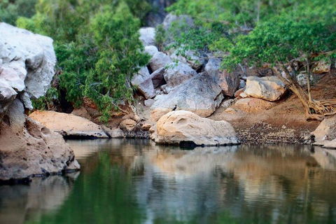 Windjana Gorge And Tunnel Creek 4WD Tour From Broome - Accommodation Mount Tamborine 5