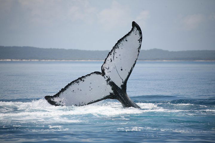 Hervey Bay Dc QLD Accommodation Mount Tamborine