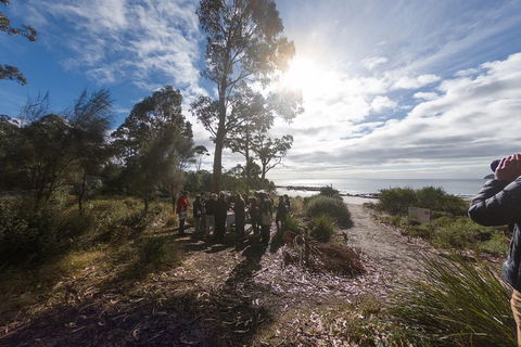 Bruny Island Day Tour, Includes Lunch And Exclusive Lighthouse Tour - Accommodation Mount Tamborine 5