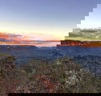 Blue Mountains Sunset Tour  Kangaroos  Koala Encounter Private Tour - Accommodation Mount Tamborine