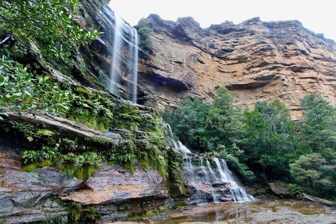 Blue Mountains Sunset Tour | Kangaroos & Koala Encounter (Private Tour) - Accommodation Mount Tamborine 2